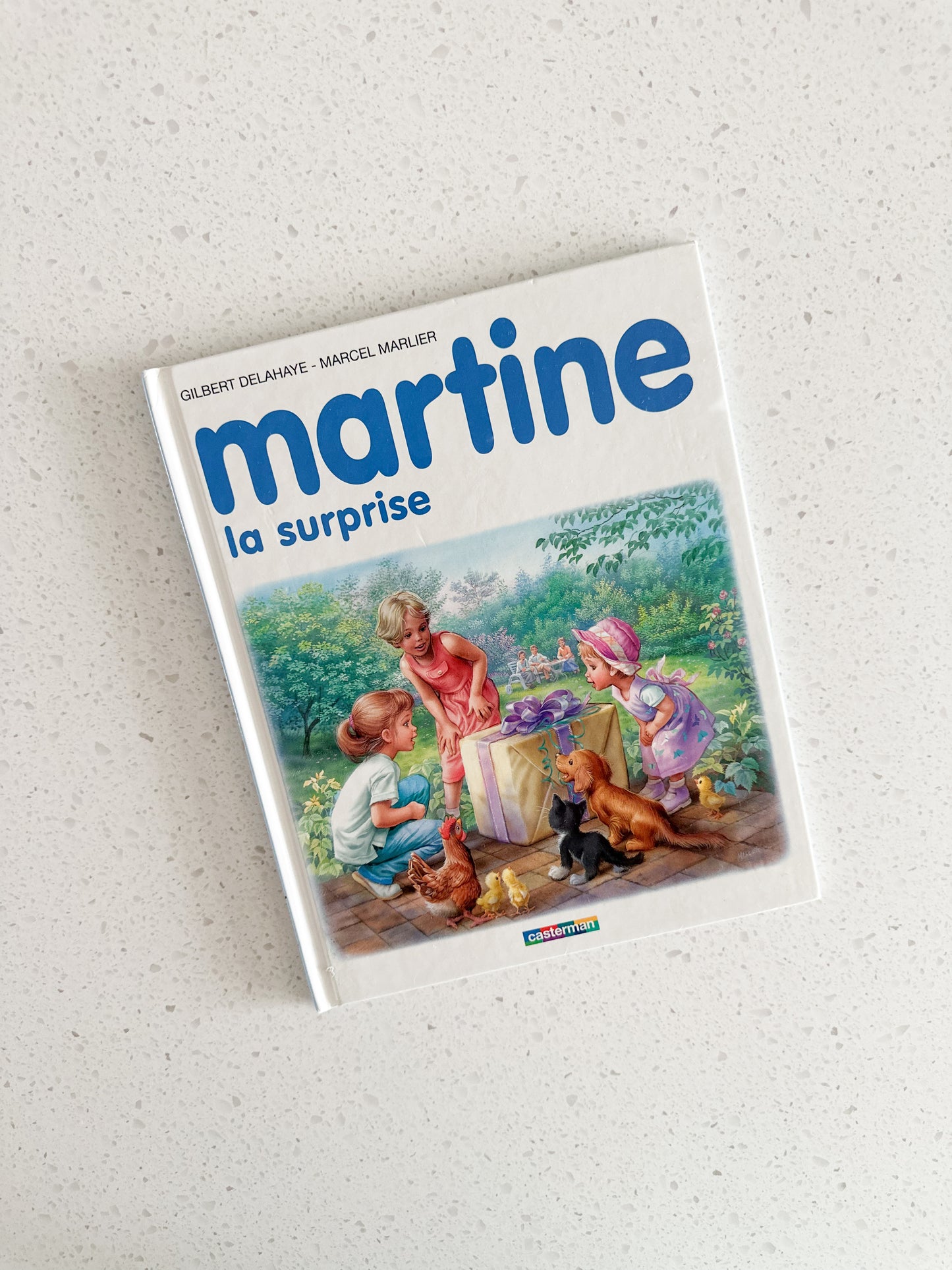 Livre - Martine - La surprise