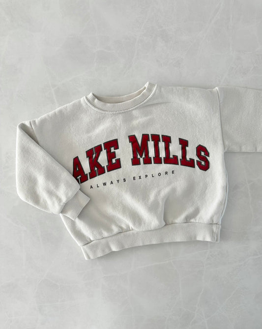 Crewneck - Zara - 4-5 ans