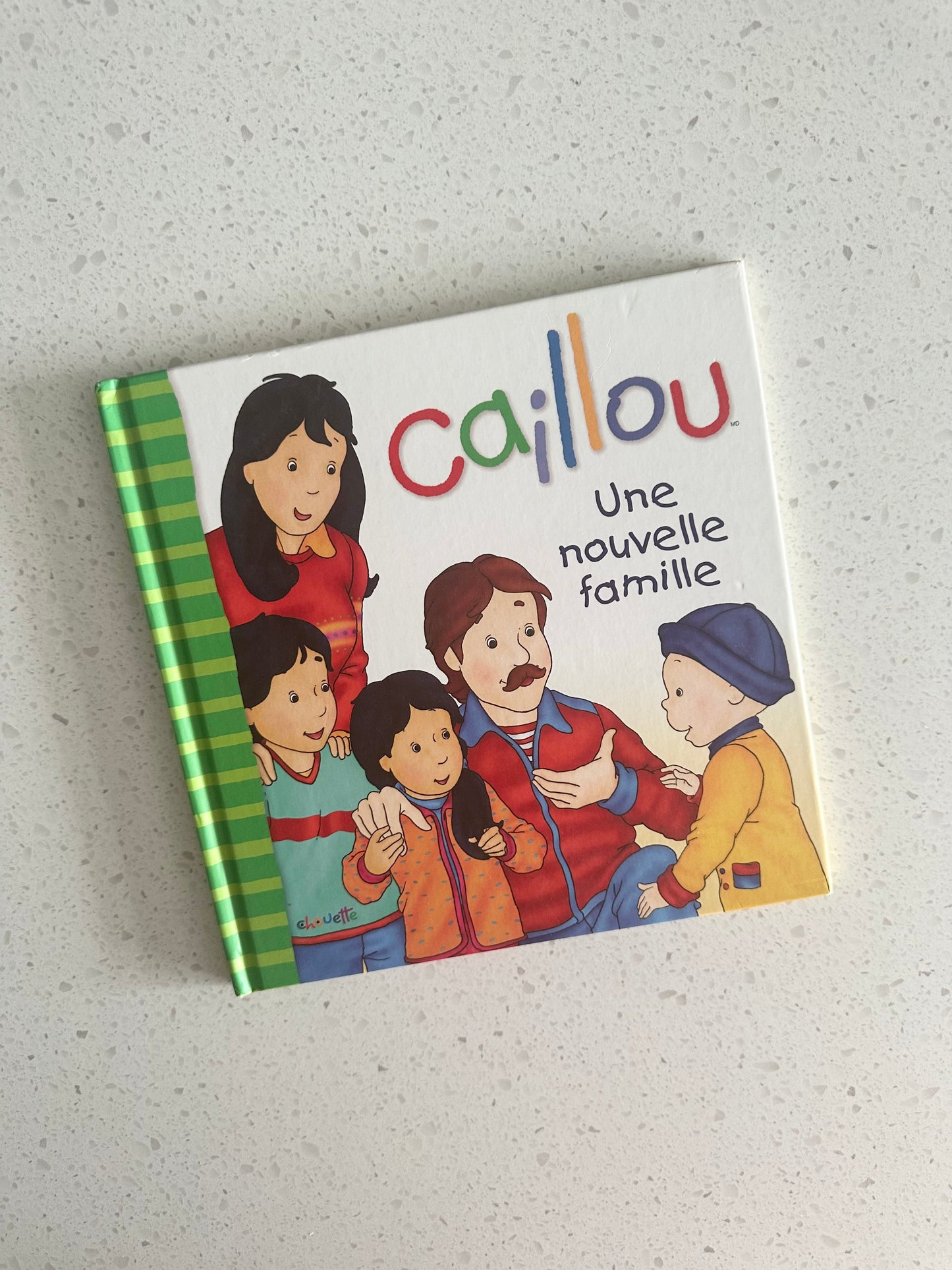 Livre - Caillou - Une nouvelle famille