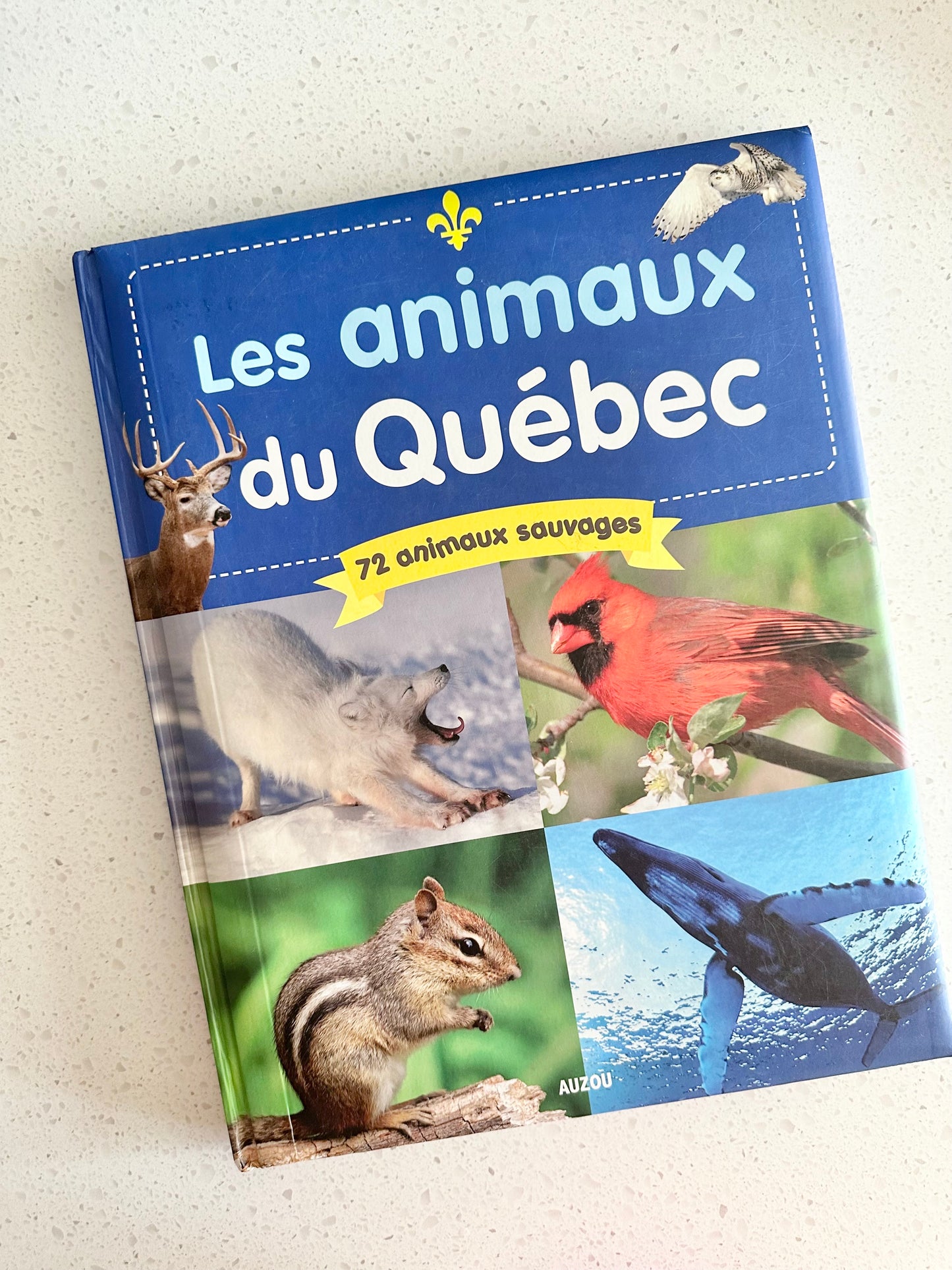 Livre - Les animaux du Québec