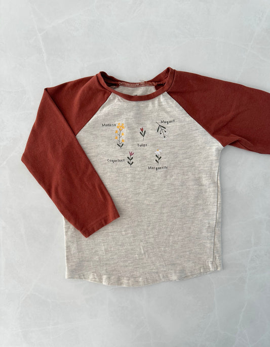 Haut - Tag - 24 mois